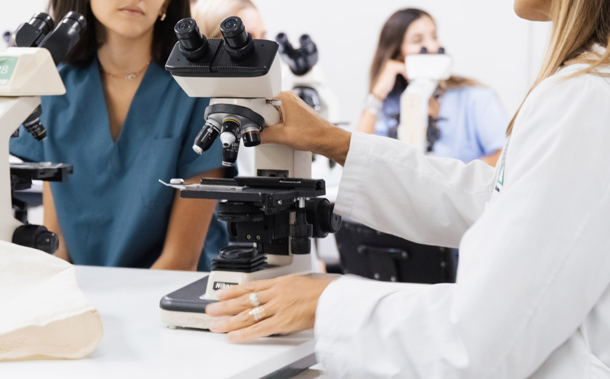 Investigación
